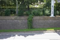 wall overgrown ivy 0007